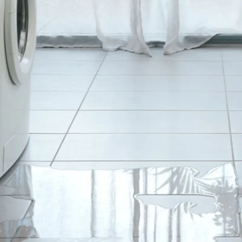 Appliance Leak Cleanup in Nederland, TX