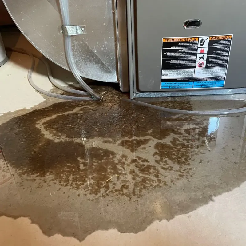 Pipe Burst and Leak Restoration in Nederland, TX