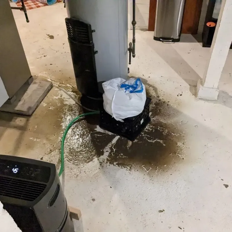 Sewage Backup Cleanup Service in Nederland, TX